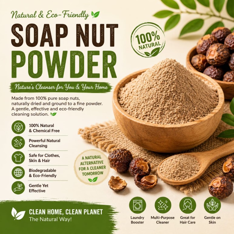 soap nut powder